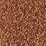 Photo Food Buckwheat Groats. Texture Background Grain Buckwheat