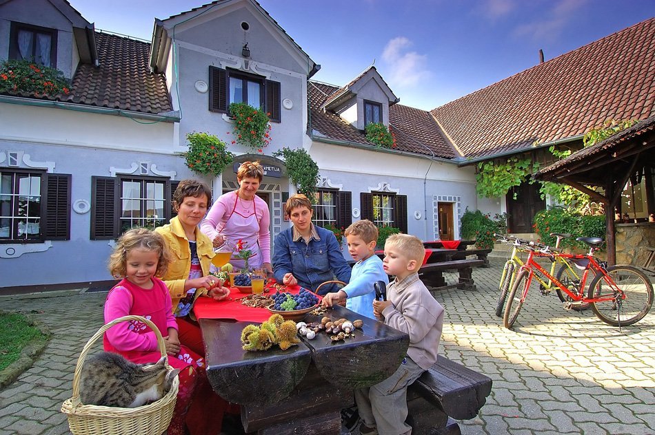 turistična kmetija firbas