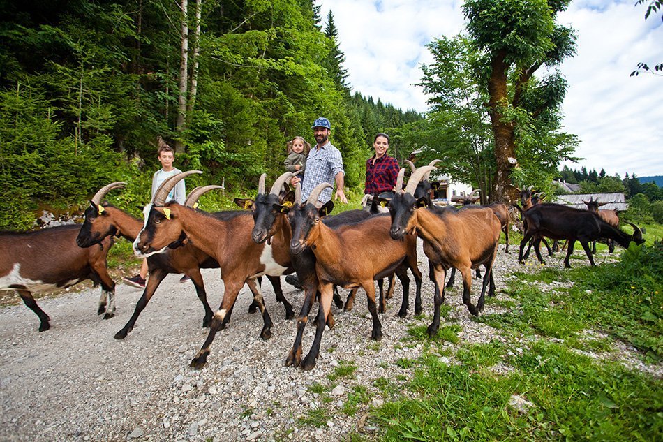 Turisticne_kmetije_Matk_Koze_Jost_Gantar_4