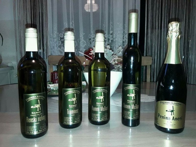 vinogradnistvo-in-vinarstvo-kolmanic-2