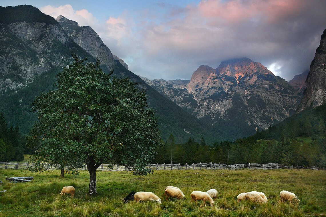 ekoloska-turisticna-kmetija-pri-plajerju-2