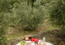 villa-eva-eco-olive-oil-11