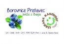 jernej-pristavec-4