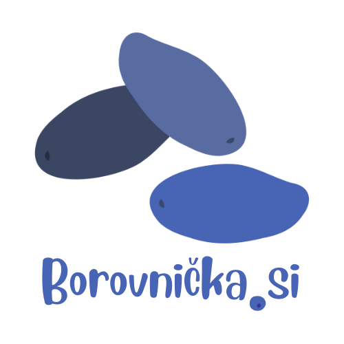 borovnicka-si-logo