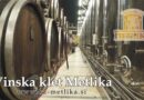 vinska-klet-metlika-6