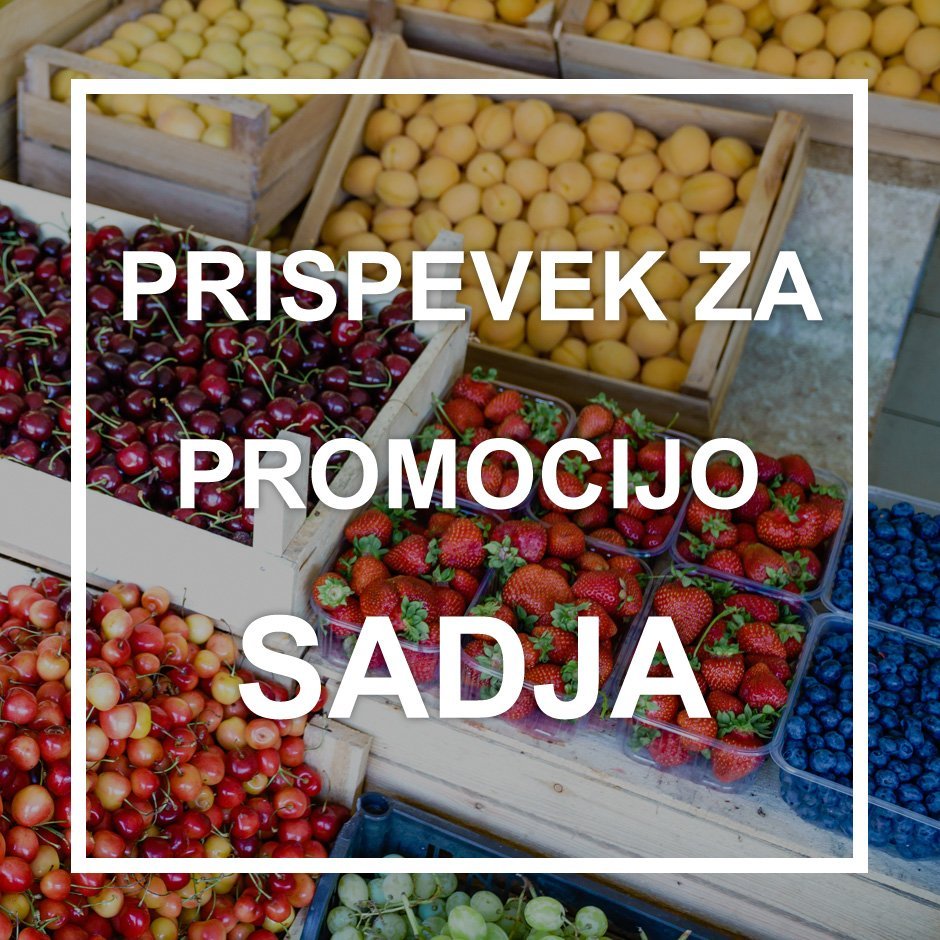 obvezni prispevek za promocijo sadja